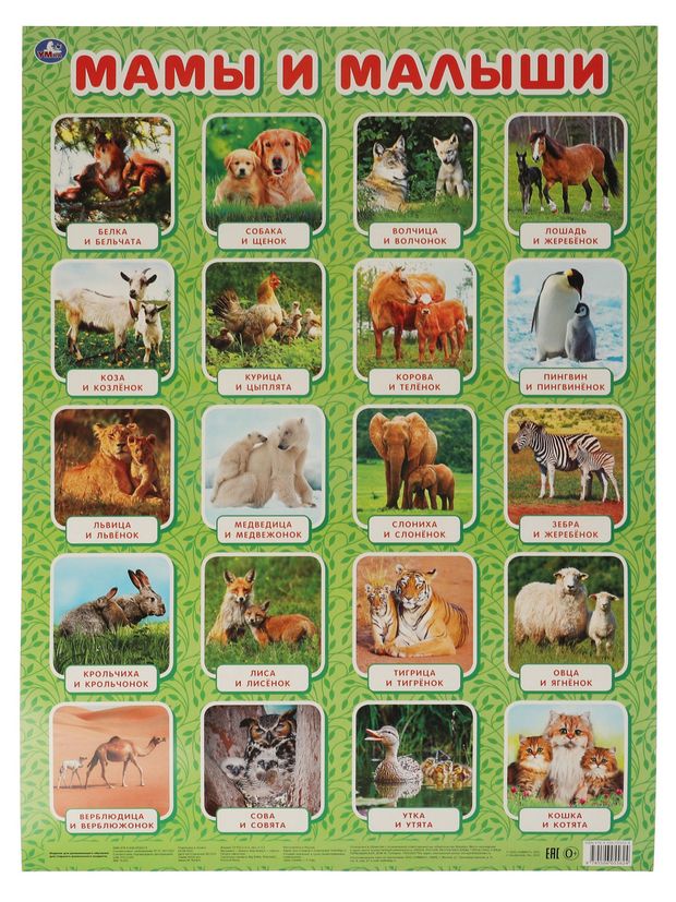 Плакат обучающий А2