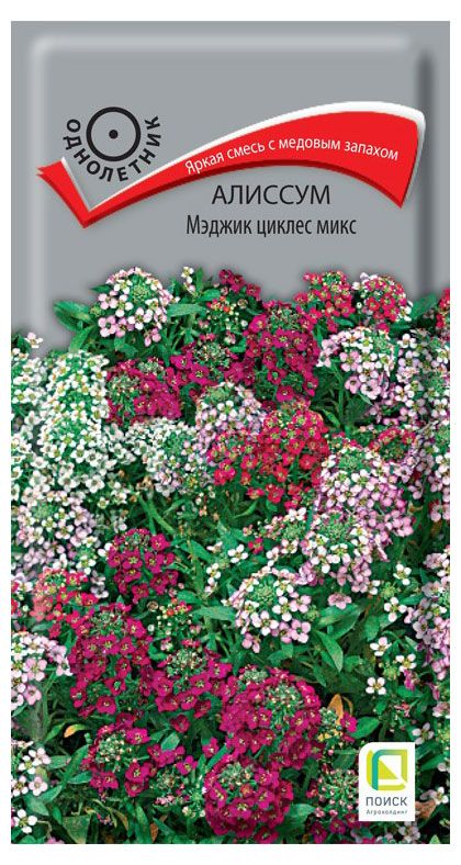 Семена Алиссум Поиск Мэджик Циклен микс, 0,3 г