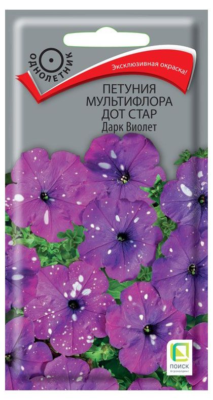 Семена Петуния Поиск Дот Стар Дарк Виолет мульфлора, 10 шт