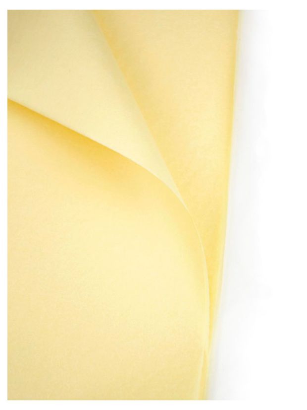 Бумага тишью Азалия Декор слоновая кость 50x66 см 10 шт 59₽