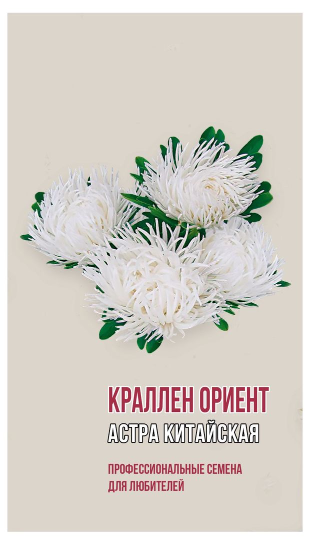 Семена Агрони Астра Краллен Ориент, 0,2 г