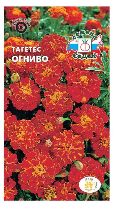 Семена СеДеК Тагетес Огниво отклоненный низкорослый красно-коричневый