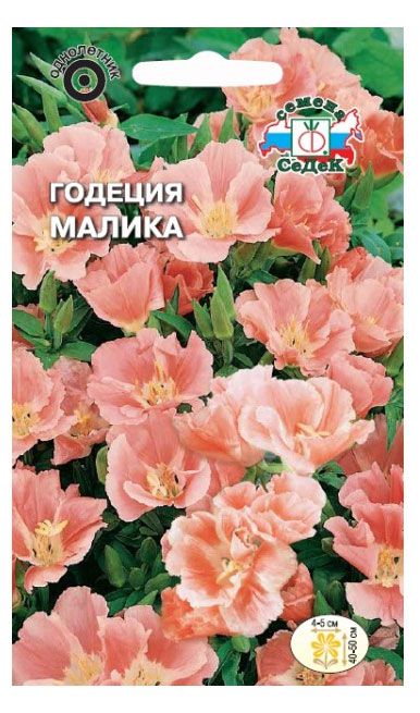 Семена СеДеК Годеция Малика