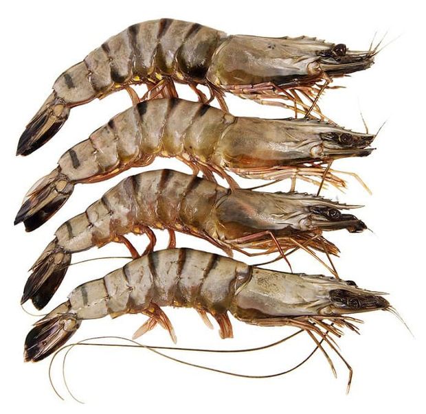 Креветки Моремания Черные тигровые свежемороженные 16-20, 1 кг