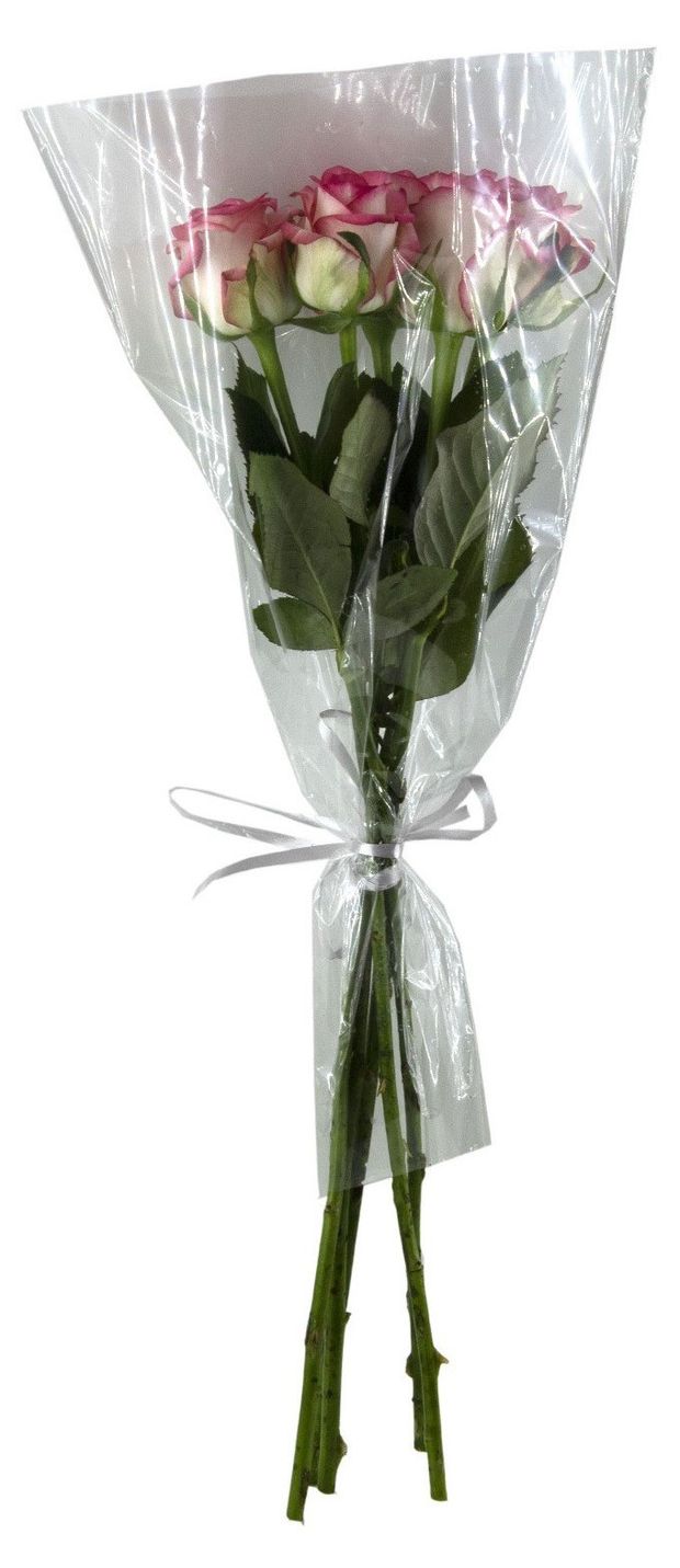 Букет Новая Голландия Роза, 5 шт