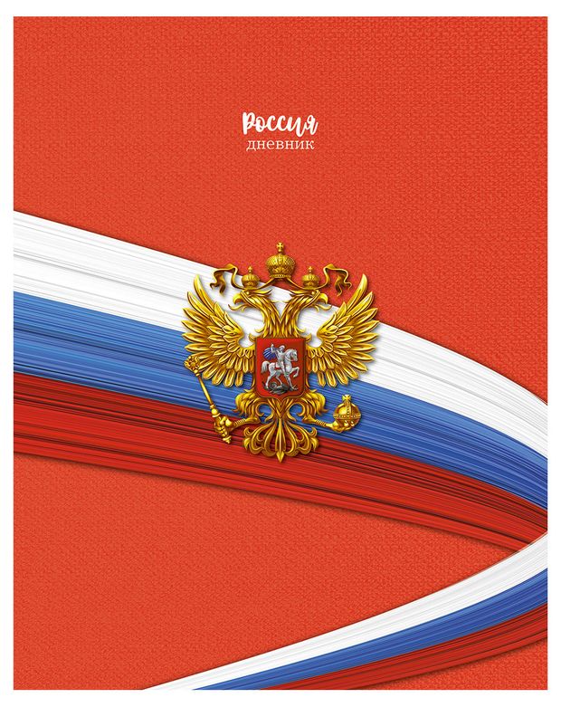 Дневник российского школьника Апплика 48 л 120₽