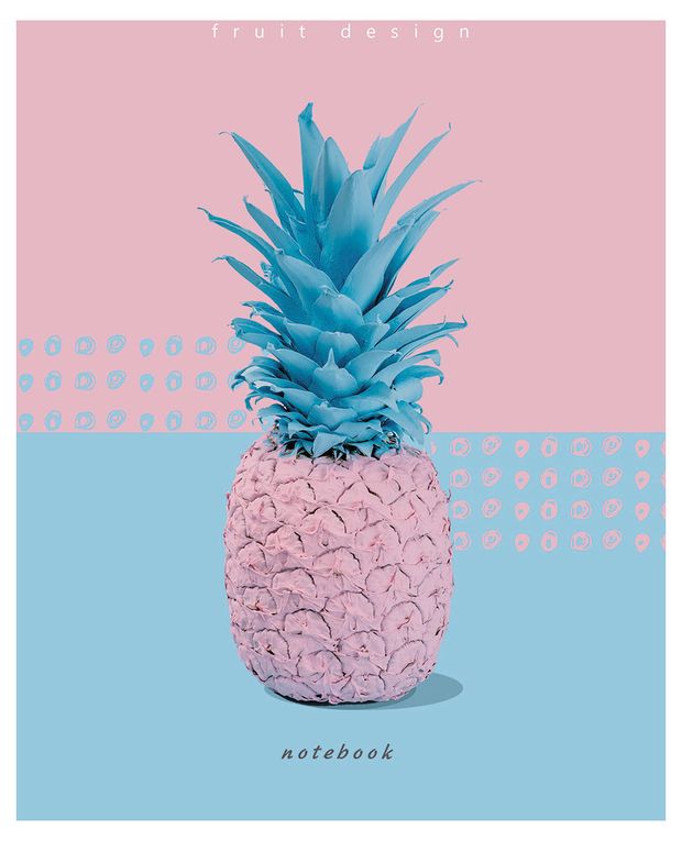 Книжка записная Апплика в клетку А5 80 л 160₽