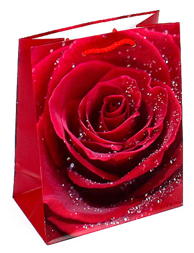 Сумка бумажная Grand Gift средняя, 23х18х10 см