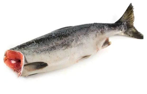 Горбуша охлажденная без головы, вес