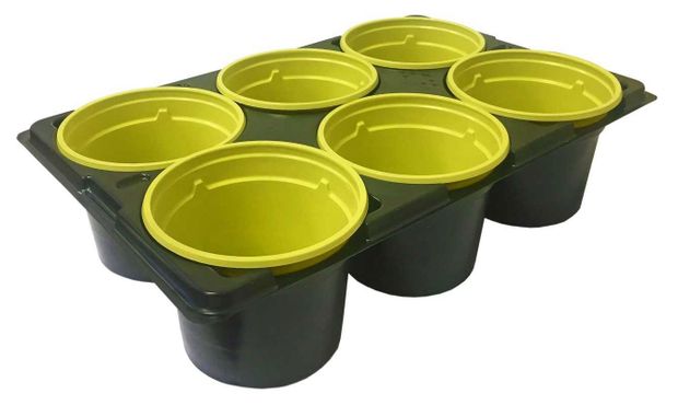 Набор горшков для рассады ГазонСity с подставкой, 9х6,8 см, 6 шт