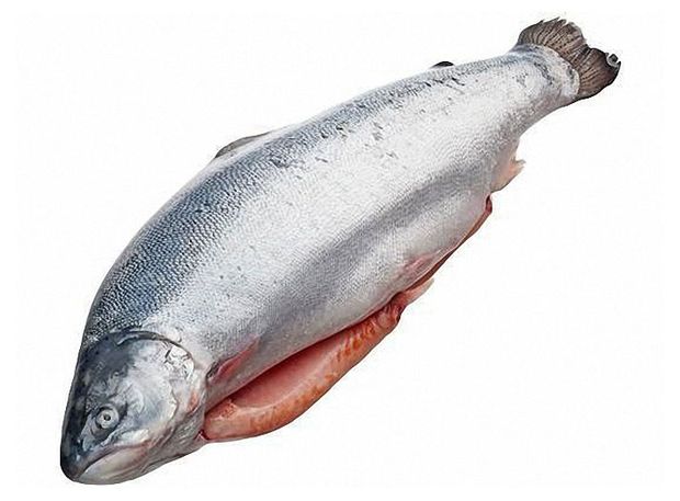 Форель охлажденная Мурманская потрошеная с головой, вес
