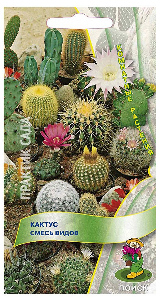 Семена Кактус Поиск смесь видов, 0,1 г