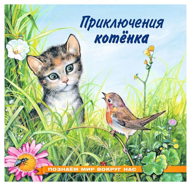 Приключения котёнка