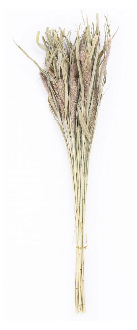 Букет сухой Стильный Дом Могара 70 см 290₽