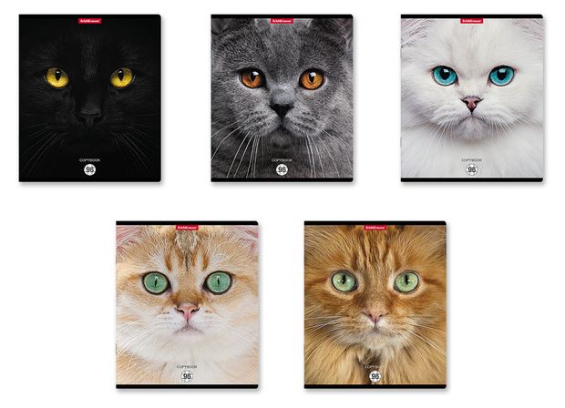 Тетрадь ErichKrause Cats в клетку А5+, 96 л, 1 шт в ассортименте