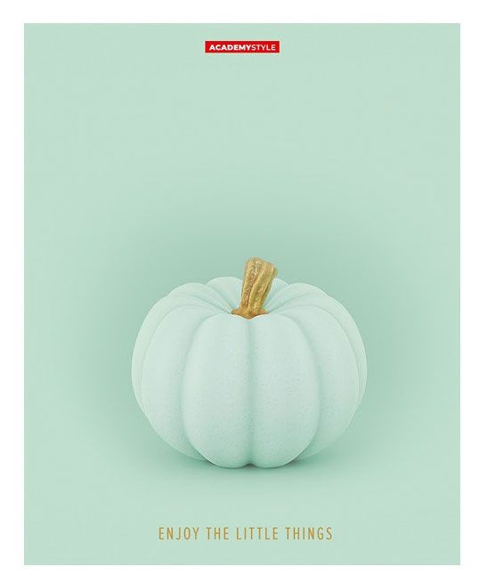 Тетрадь Academy Style Тыква в клетку А5, 48 л