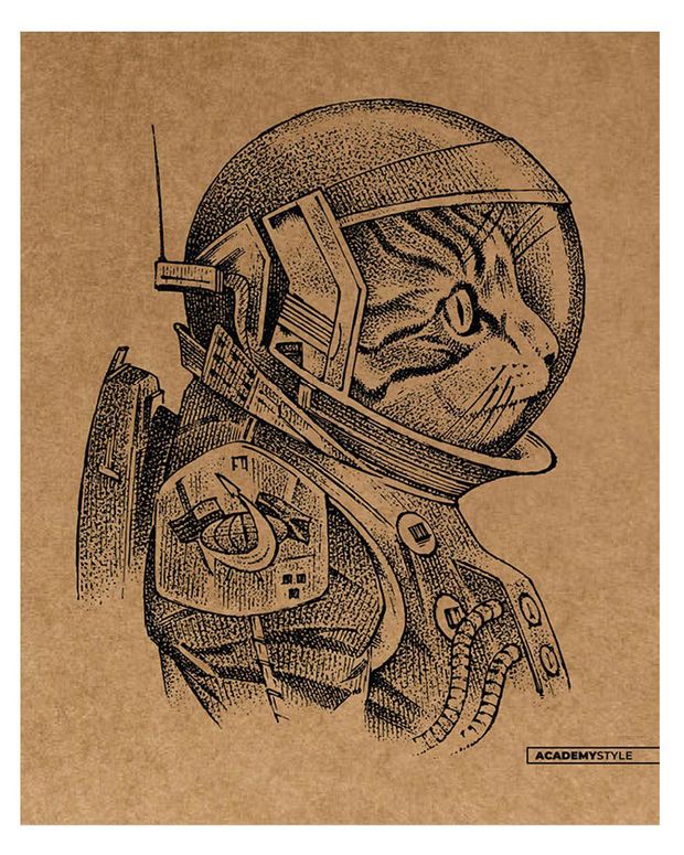 Тетрадь Academy Style Животные в космосе в клетку А5 96 л 80₽