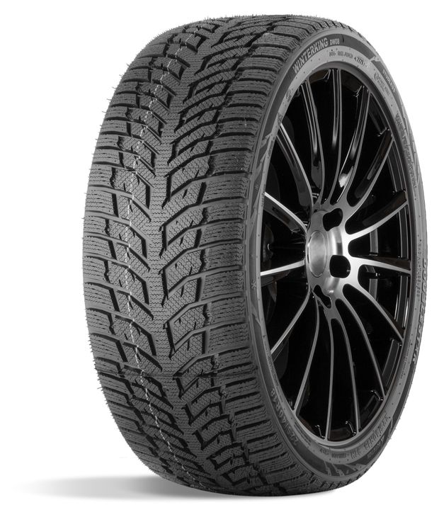 Автотовары  Ашан Шина зимняя Doublestar 205/55/16 T 91 DW08