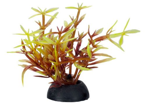 Растение для аквариума HOMEFISH Кверкус вертикальный пластиковое с грузом 5 см 90₽