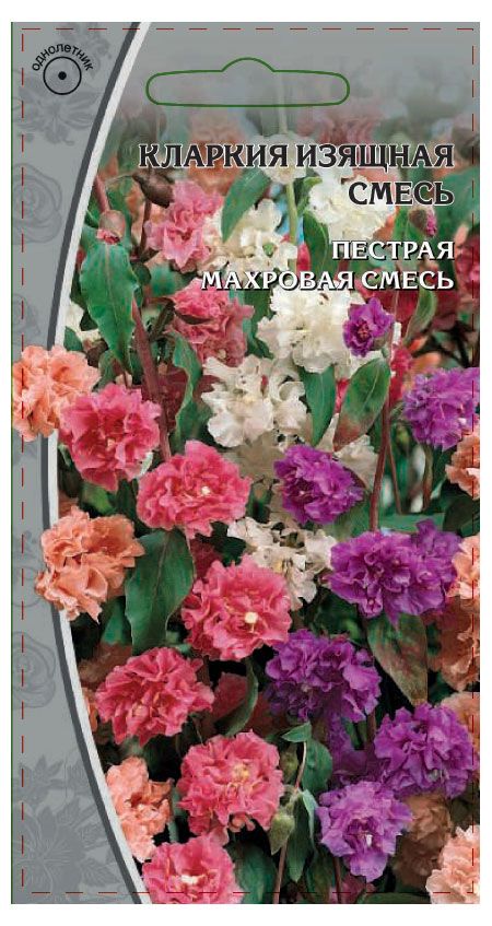 Семена Ваше хозяйство Кларкия Смесь 02 г 23₽