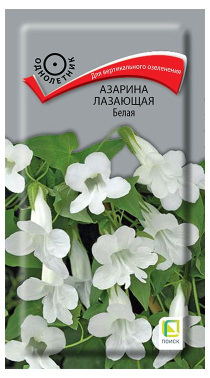 Семена Поиск Азарина лазающая Белая, 10 шт