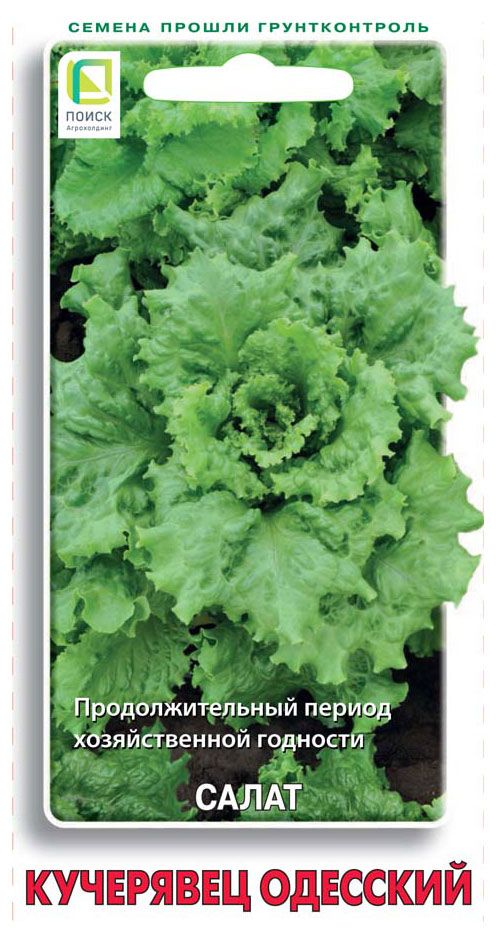 Семена Поиск Салат Кучерявец Одесский, 1 г