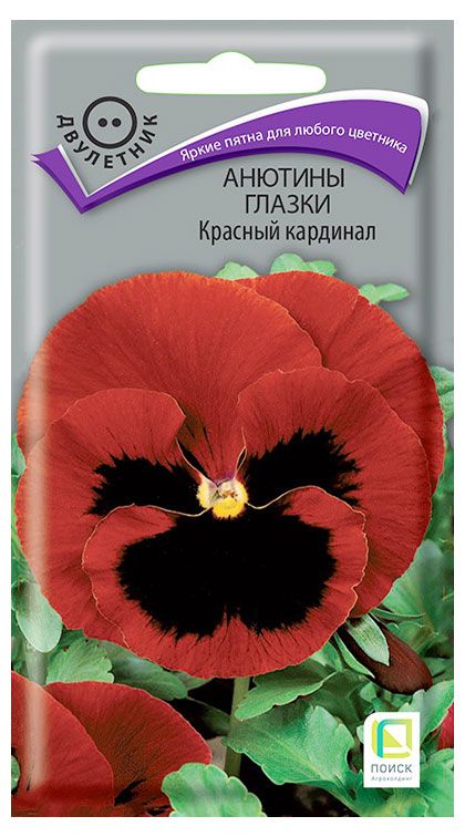Семена Поиск Анютины глазки Красный кардинал