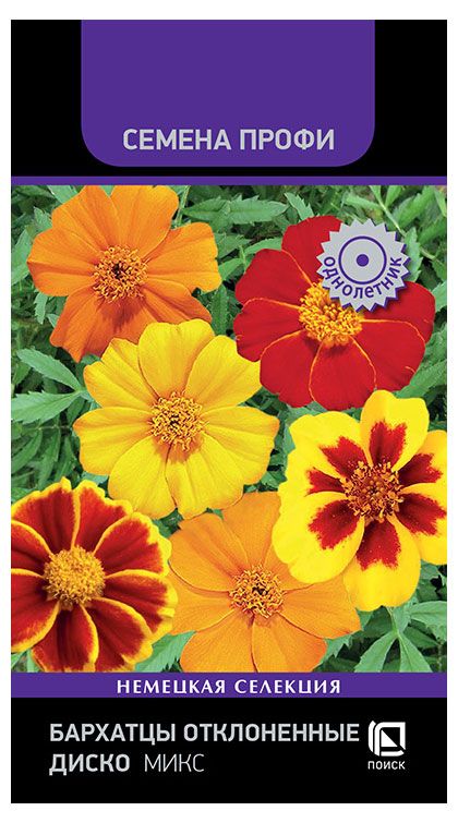 Семена Поиск Бархатцы отклоненные Диско Микс, 10 шт