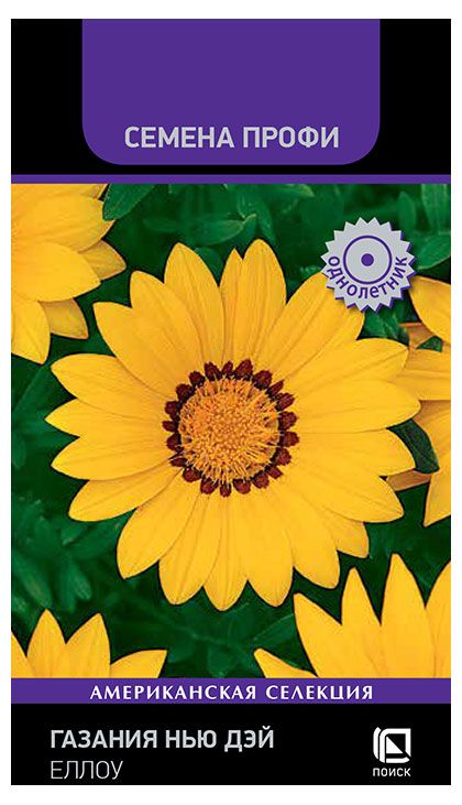 Семена Поиск Газания Нью Дэй Еллоу, 10 шт