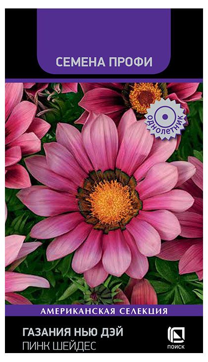 Семена Поиск Газания Нью Дэй Пинк Шейдес