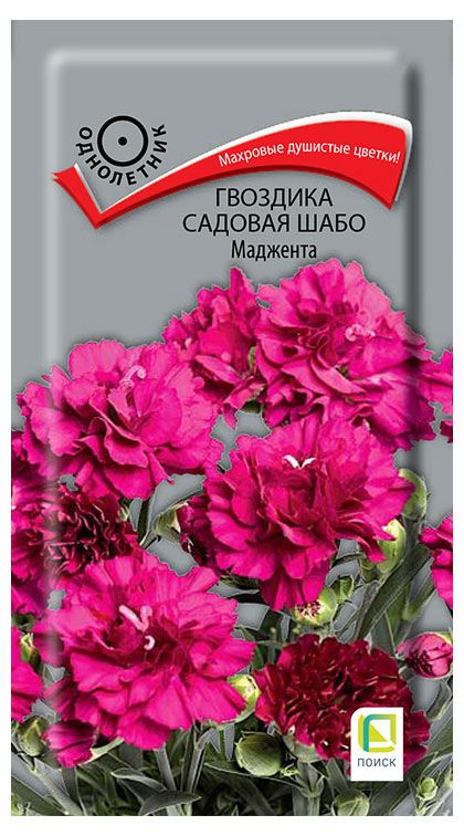 Семена Поиск Гвоздика садовая Шабо Маджента, 0,1 г