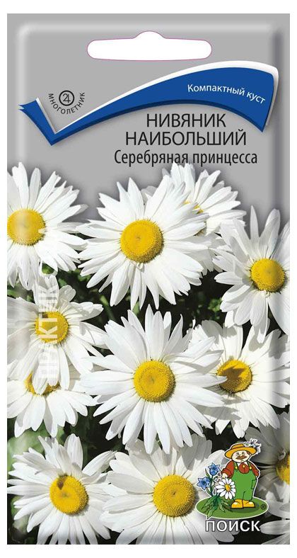 Семена Поиск Нивяник наибольший Серебряная принцесса