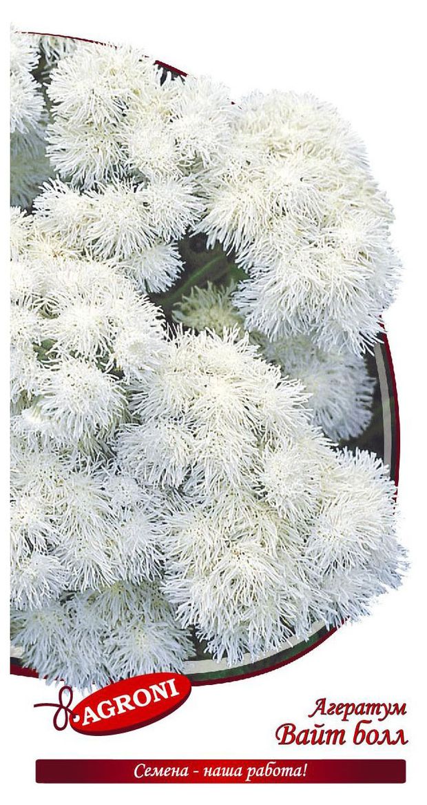 Семена Agroni Агератум Вайт бол, 0,1 г