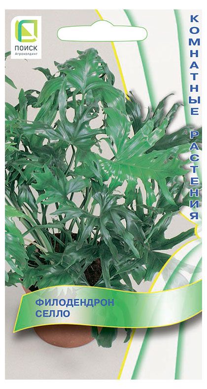 Семена Поиск Филодендрон Селло, 3 шт