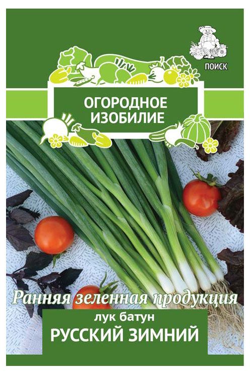 Семена Поиск Лук Батун Русский Зимний, 1 г