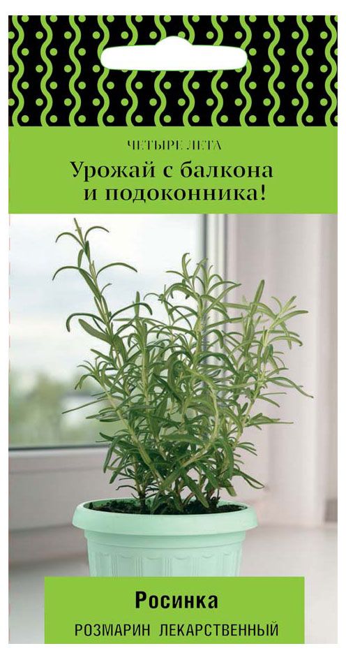 Семена Поиск Розмарин лекарственный Росинка (А), 10 шт