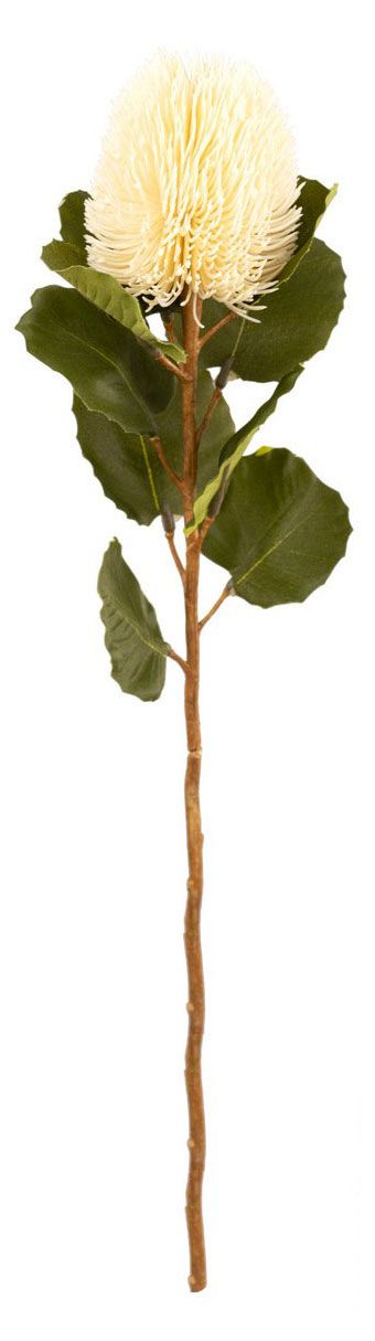 Цветок искусственный Decoland Банксия кремовый, 59 см