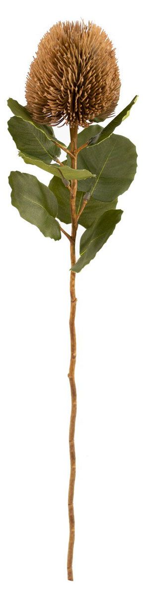 Цветок искусственный Decoland Банксия коричневый, 59 см