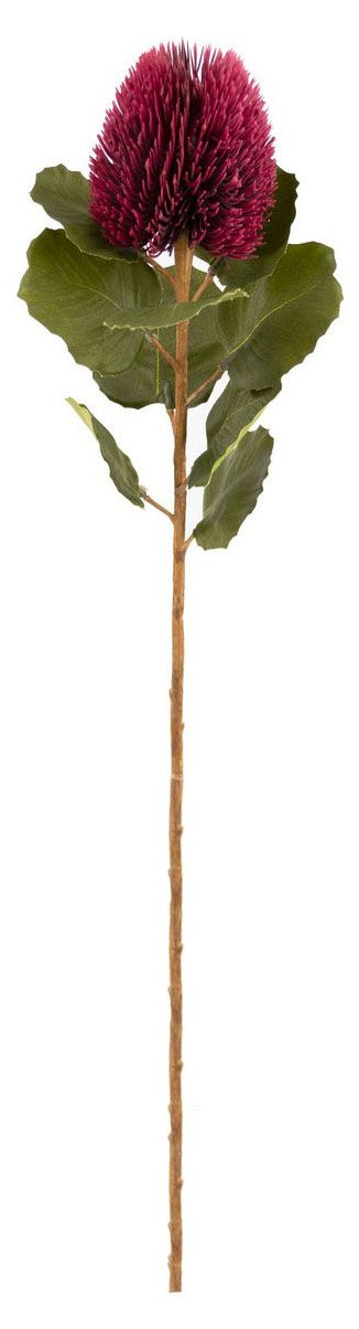 Цветок искусственный Decoland Банксия бургунди 59 см 349₽