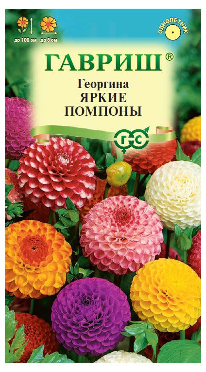 Семена Гавриш Георгина Яркие помпоны 02 г 45₽