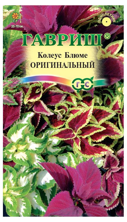 Семена Гавриш Колеус Оригинальный, 0,03 г