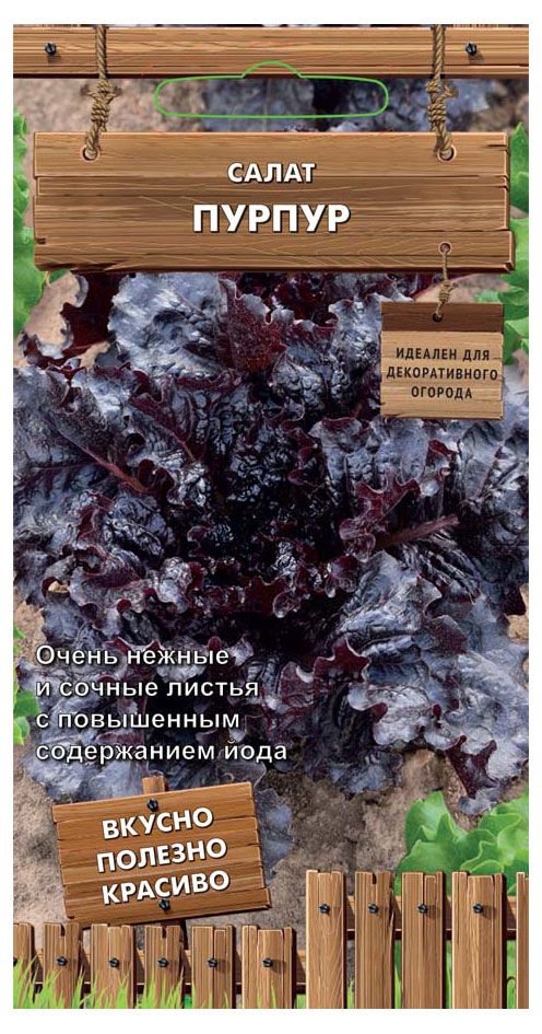 Семена Поиск Салат Пурпер, 1 г