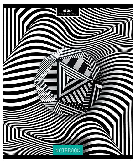 Тетрадь общая ПЗБМ Иллюзия клетка А5 48 л 49₽