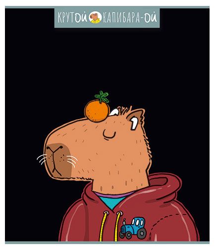 Тетрадь общая ПЗБМ Капибара клетка А5 48 л 59₽