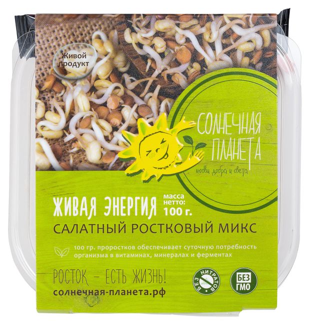 Овощи, фрукты, орехи Салатный микс Живая энергия, 100 г