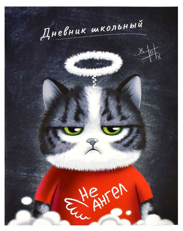 Дневник школьный Феникс+ А5+, 48 л