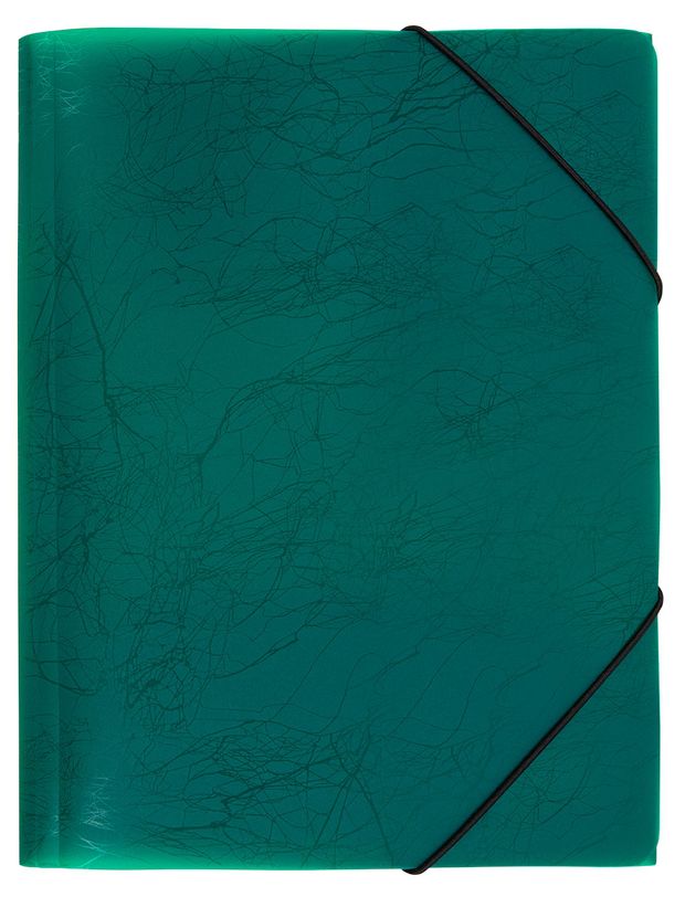 Папка Expert Complete зеленая А4 125₽