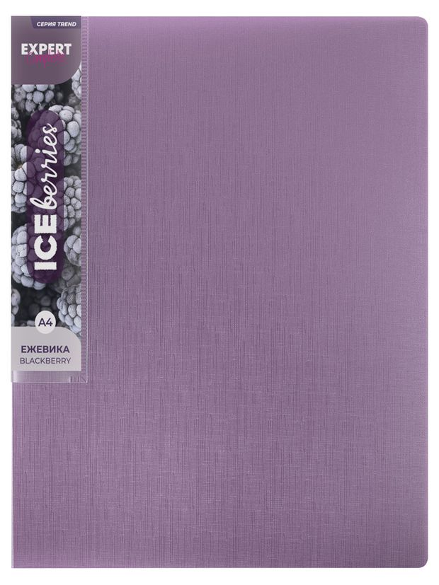 Папка с металлическим прижимом Expert Complete Ежевика А4 120₽