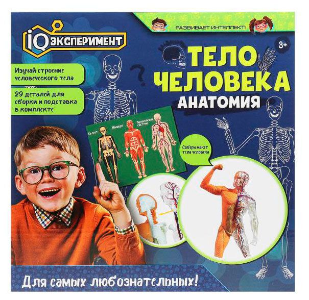 Набор для опытов IQ Эксперимент Тело человека Анатомия 549₽