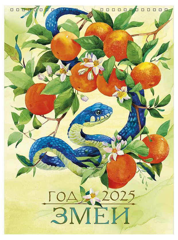 Календарь Арт Дизайн Змеи на спирали 2025 г А3 в ассортименте 164₽
